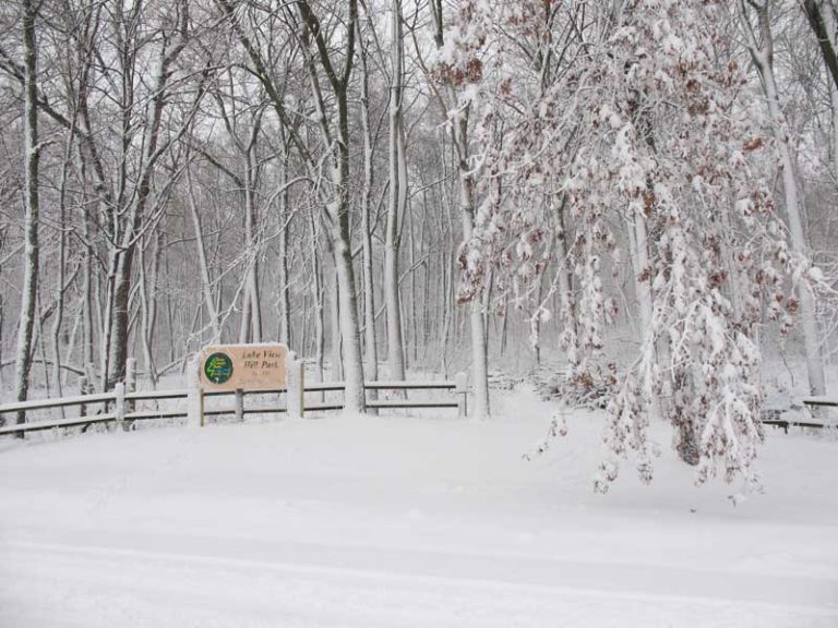 Take a walk in the woods in winter at Lake View Hill Park