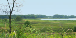Cherokee Marsh Conservation Park gets 31-acre addition