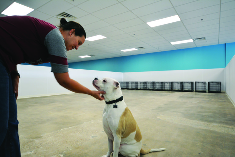 New Northside day care opened — for dogs