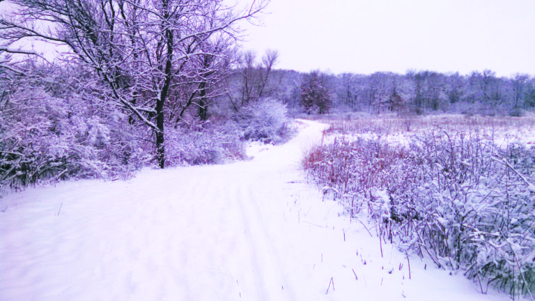 Explore Northside parks this winter