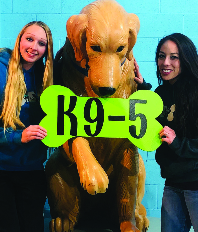 K9-5 Daycare provides fun and frolic for furry family members