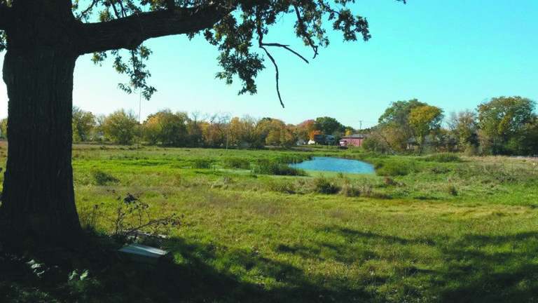 Friends group forms to preserve Hartmeyer Natural Area