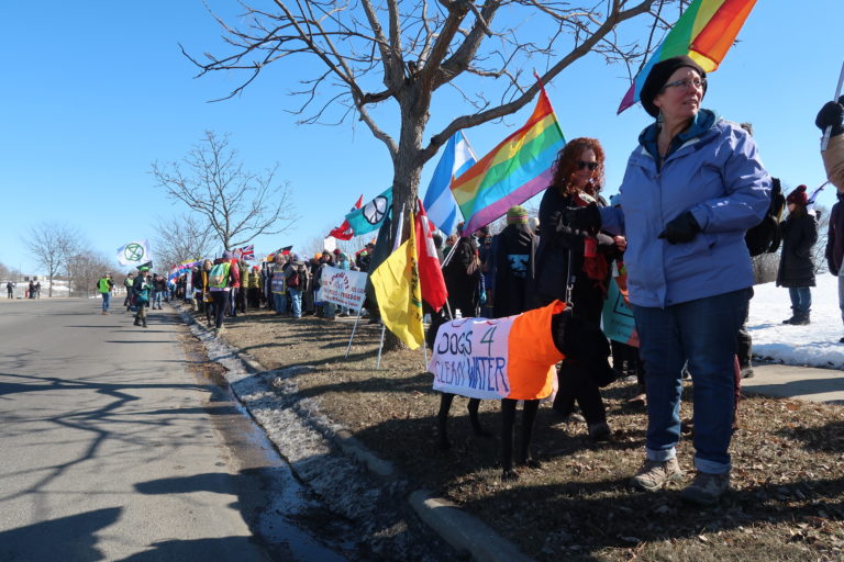 The left side of the photo shows an empty street with hundreds of people gathered on the grass to the right, stretching off into the distance. There are many colorful flags below the blue sky. There are two rainbow flags closest to the camera, and a woman looking over her shoulder and standing near a dog wearing a sign that says 