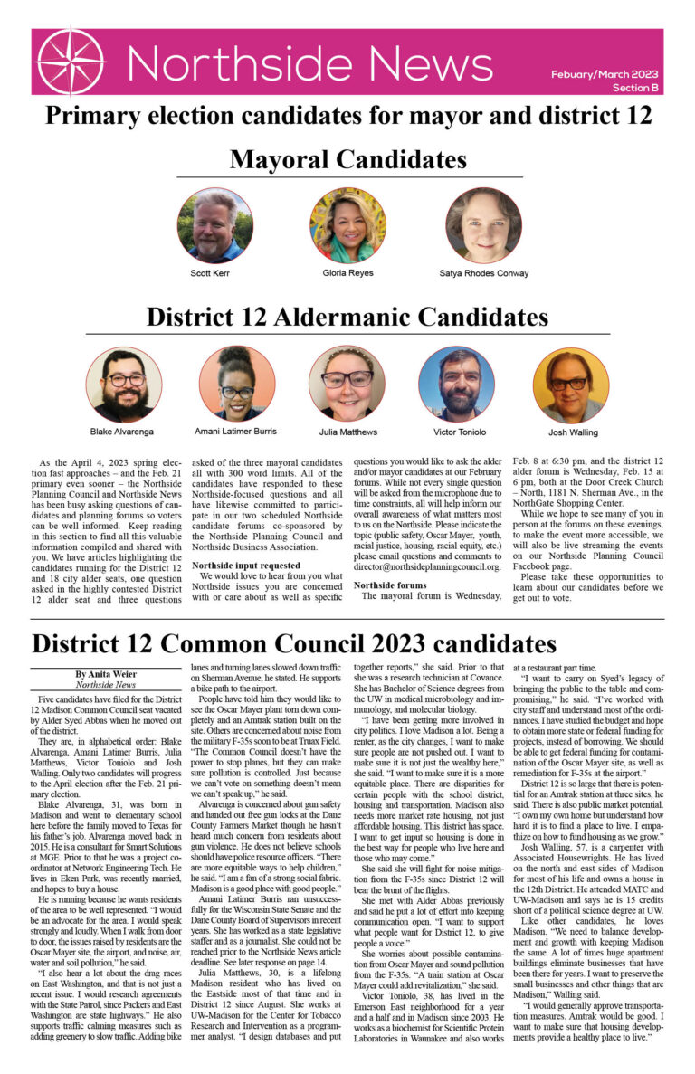 Primary election candidates for mayor and district 12